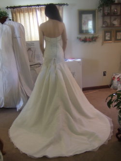 bustle a wedding dress