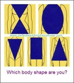 Body shape illustration