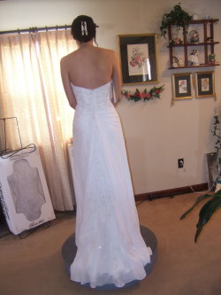 American Bustle Picture American Bustle Picture