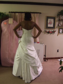 Butterfly American bustle Butterfly American bustle