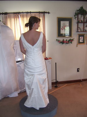 Butterfly American Bustle Butterfly American Bustle