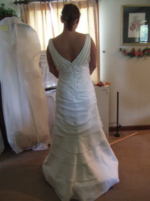 Butterfly American bustle Butterfly American bustle